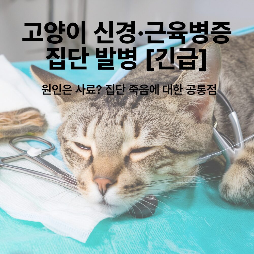 고양이 사망, 집단 사망